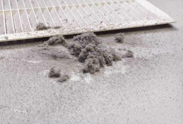 Best Professional Duct Cleaning Services  in Watsontown, PA
